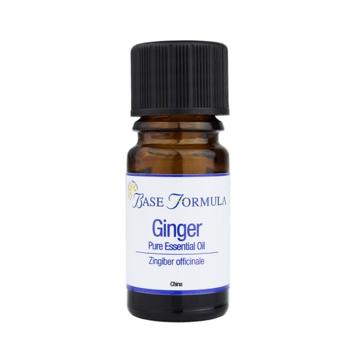 Ginger Essential Oil Stimulating & warming